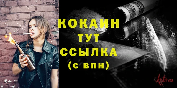 прущие грибы Володарск