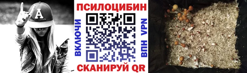 Галлюциногенные грибы Psilocybine cubensis Закаменск