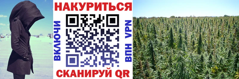 МАРИХУАНА SATIVA & INDICA  Закаменск 